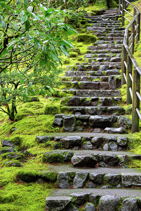 Stone Stairs, Japanese Garden Photograph by John Morris - Fine Art America