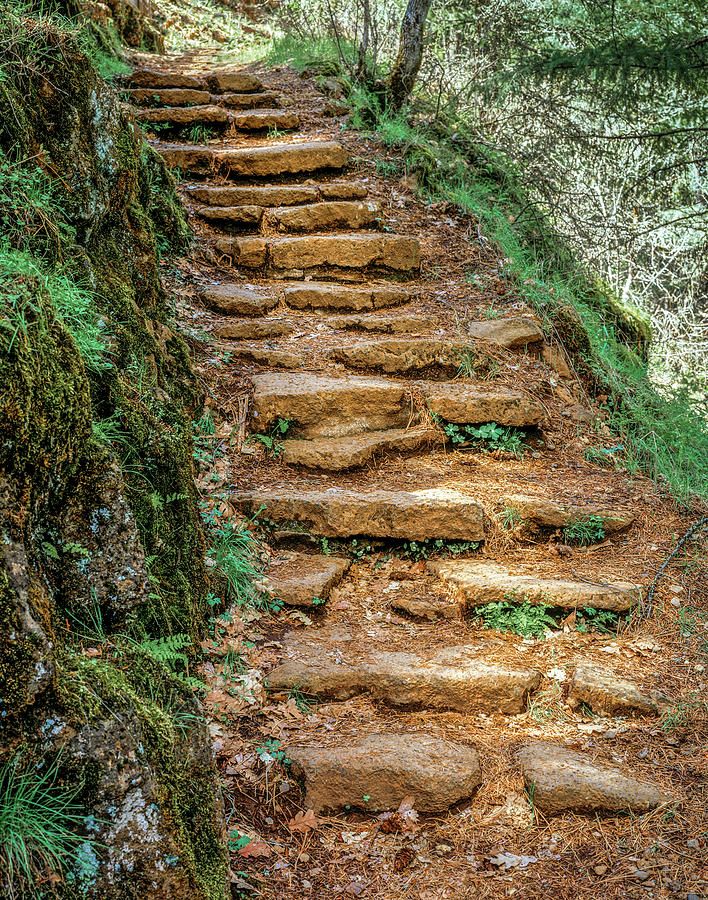 Stone Stairs Photograph by Randy Bradley