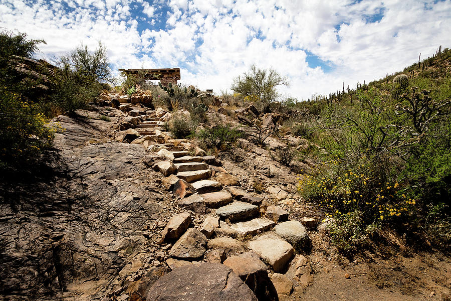 Stone stairs to desert picnic oasis Photograph by Craig A Walker