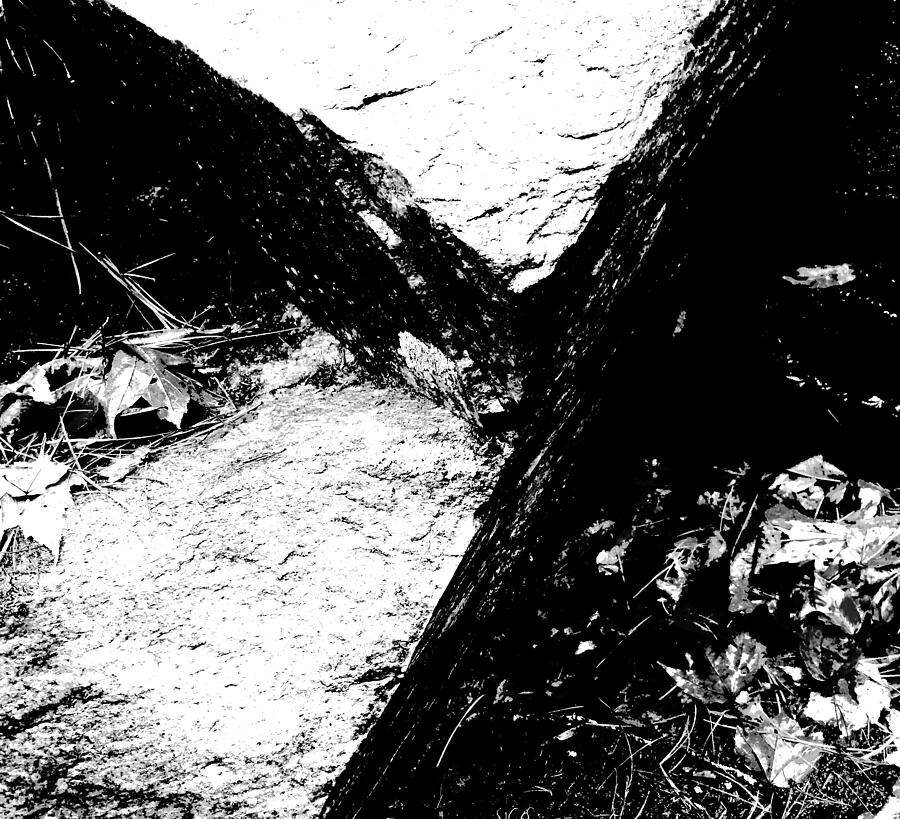 Stone Steps Photograph by Brandon Strellis Stone Steps Photograph by Brandon Strellis