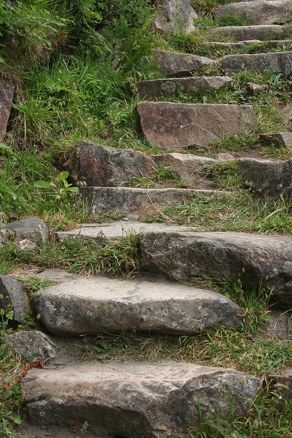 Stone Steps Photograph by Dylan Punke