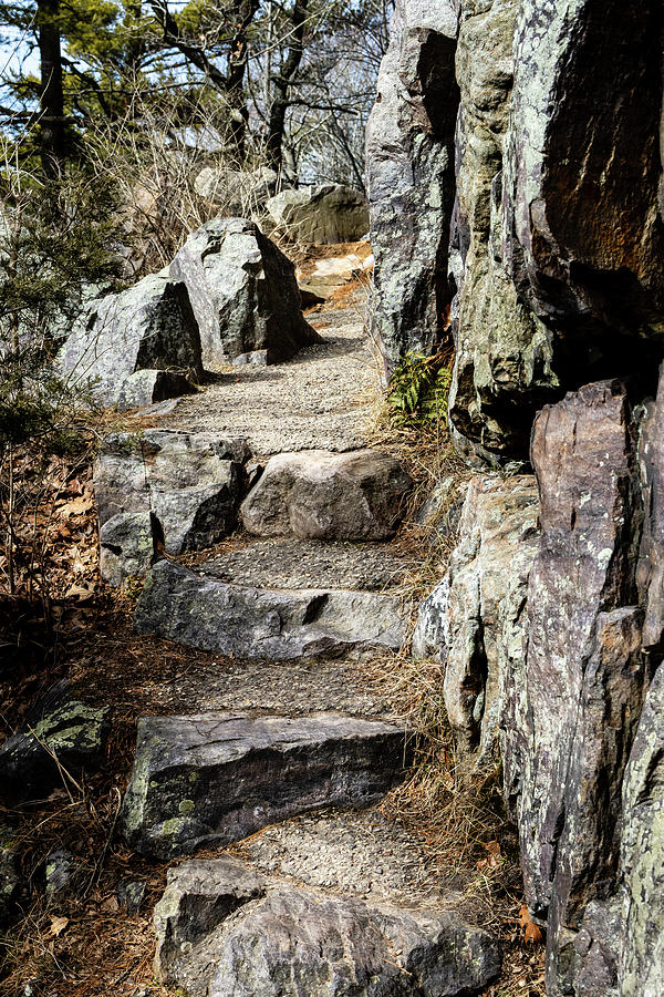 Stone Steps on Trail Photograph by Craig A Walker