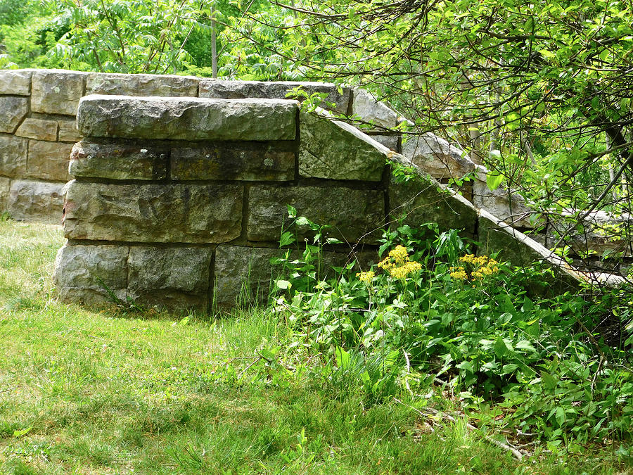 Stone Steps - Skyline Drive Photograph by Arlane Crump - Fine Art America