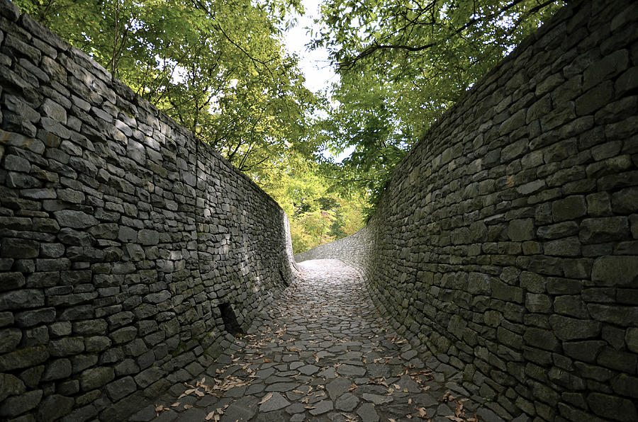 Stone wall and stone path in the forest Photograph by Hazelog