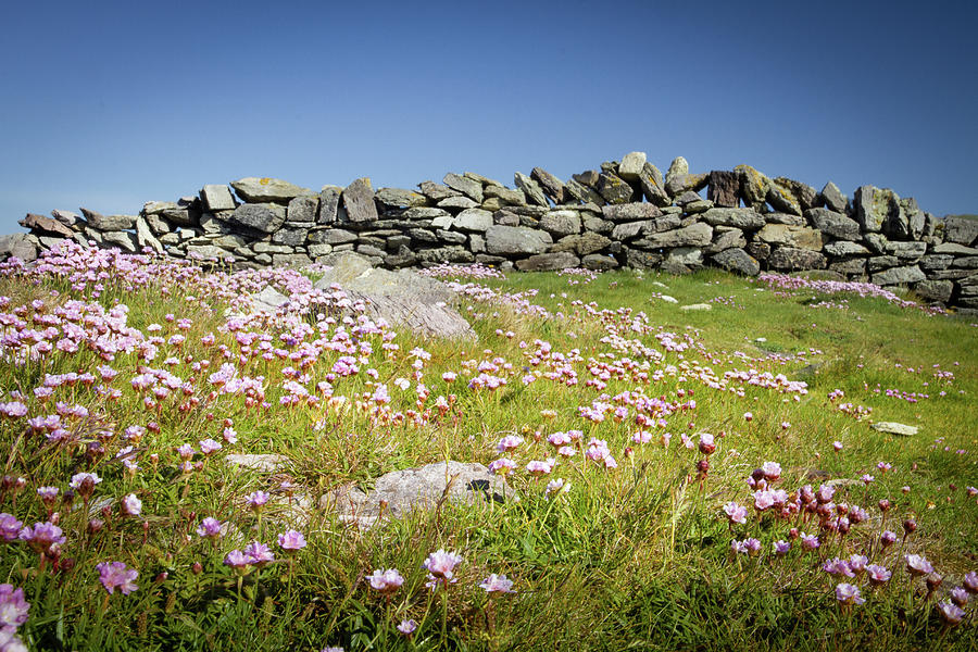 Stone Wall Horizon Photograph by Mark Callanan