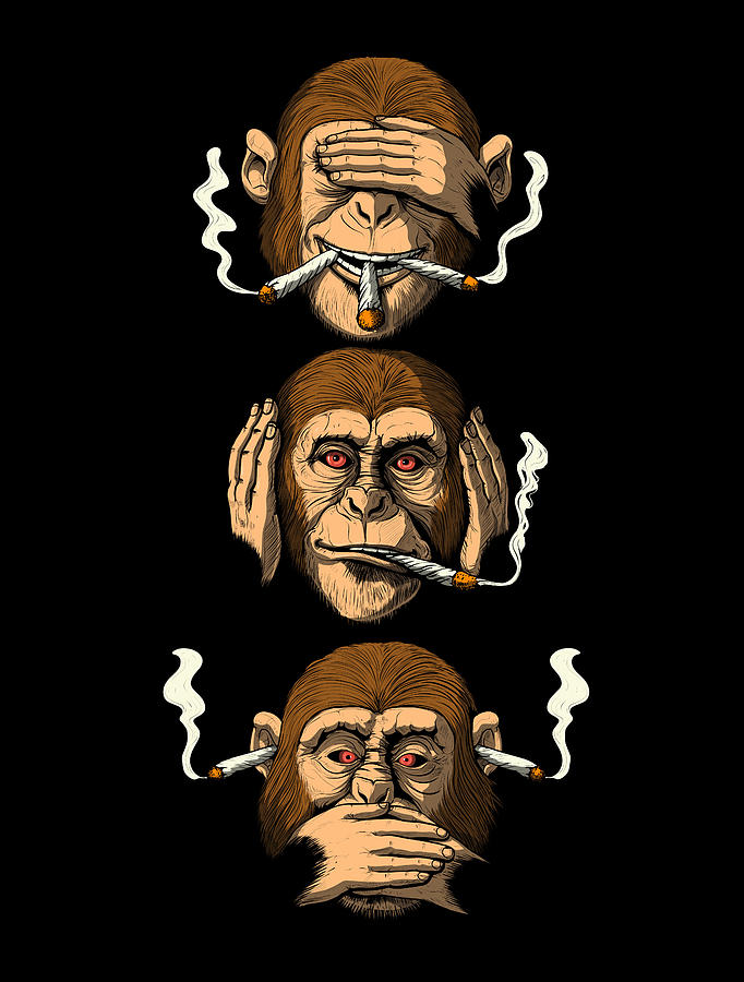 Three Wise Monkeys Ubicaciondepersonas Cdmx Gob Mx