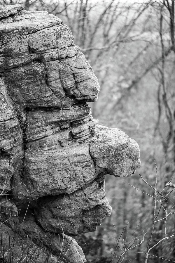 Stoneface Photograph by Grant Twiss