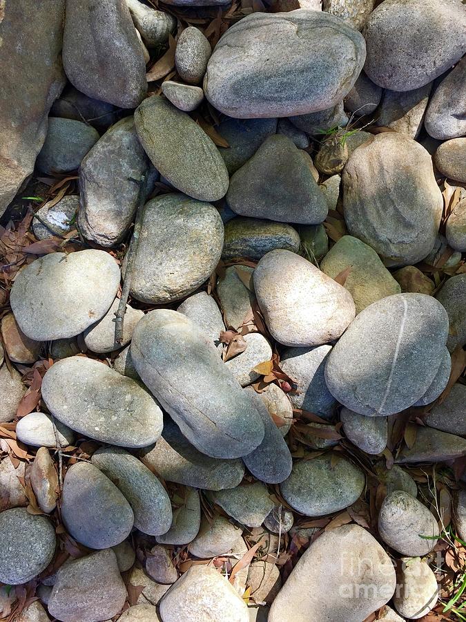 Stones Photograph by Flavia Westerwelle