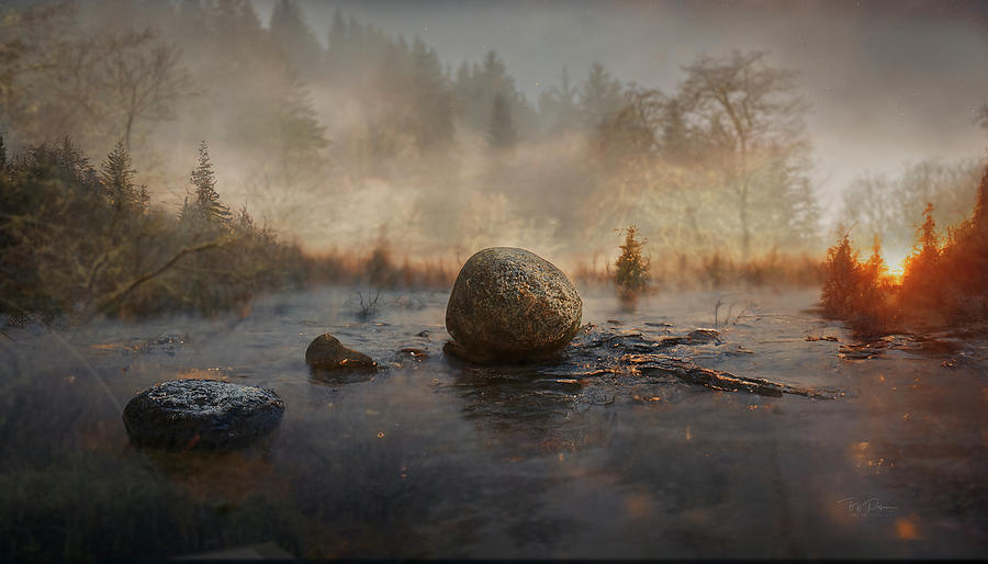 Stones in a creek Photograph by Bill Posner
