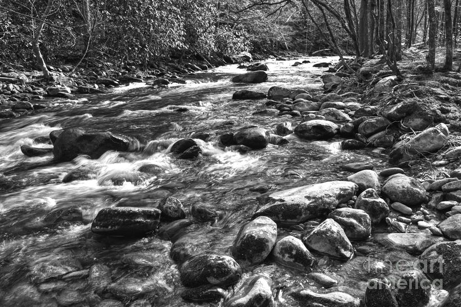 Stones In A River Photograph by Phil Perkins