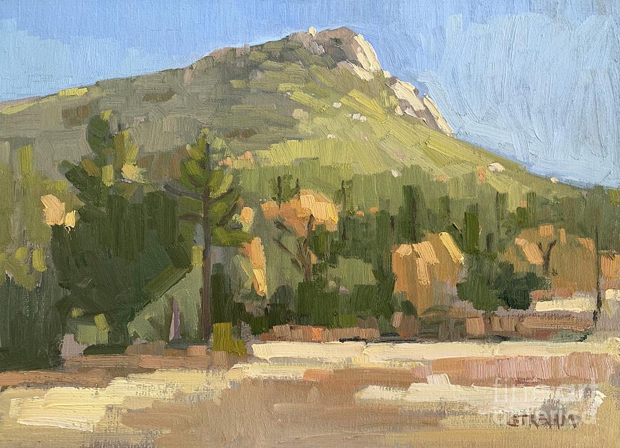 Stonewall Peak - Cuyamaca Rancho State Park, Julian, California Painting by Paul Strahm