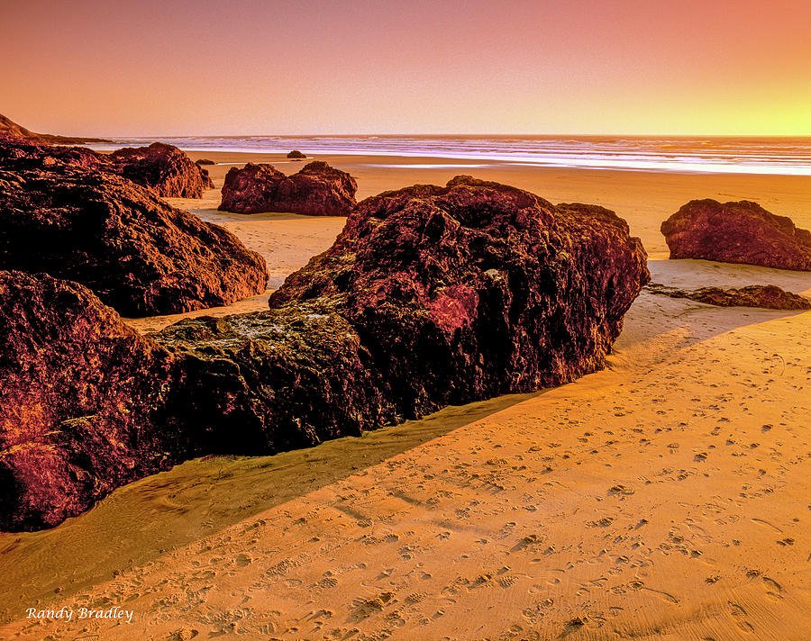 Stoney Beach  Photograph by Randy Bradley