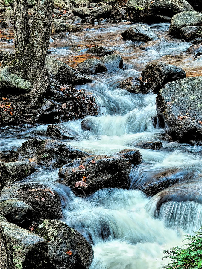 Stoney Brook Stream Photograph by Bearj B Photo Art