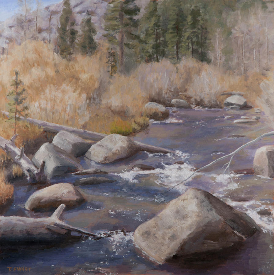 Landscape Painting - Stoney Creek by Todd Swart