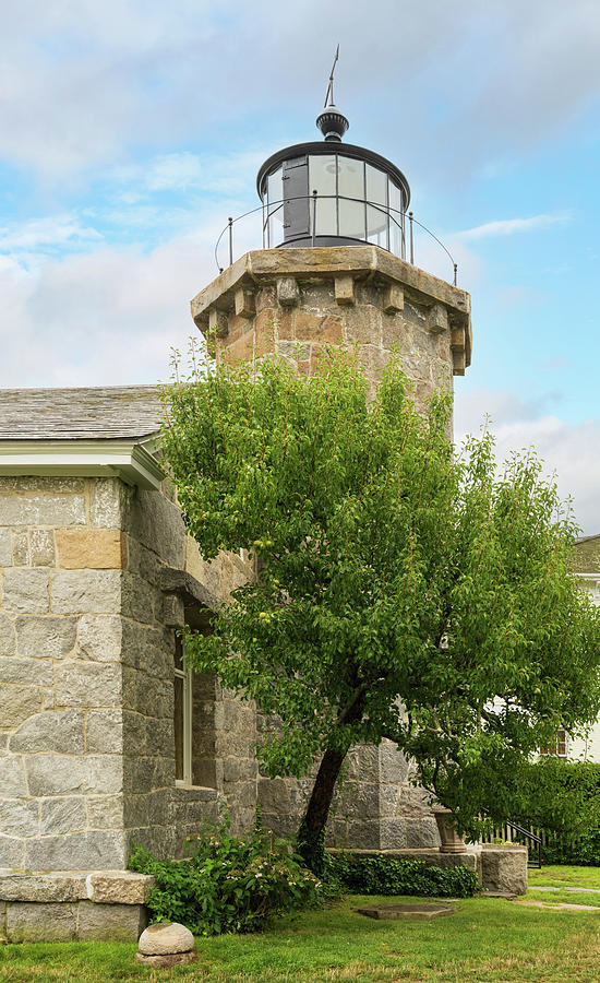 Stonington Harbor Lighthouse and Pear Tree Photograph by Marianne Campolongo