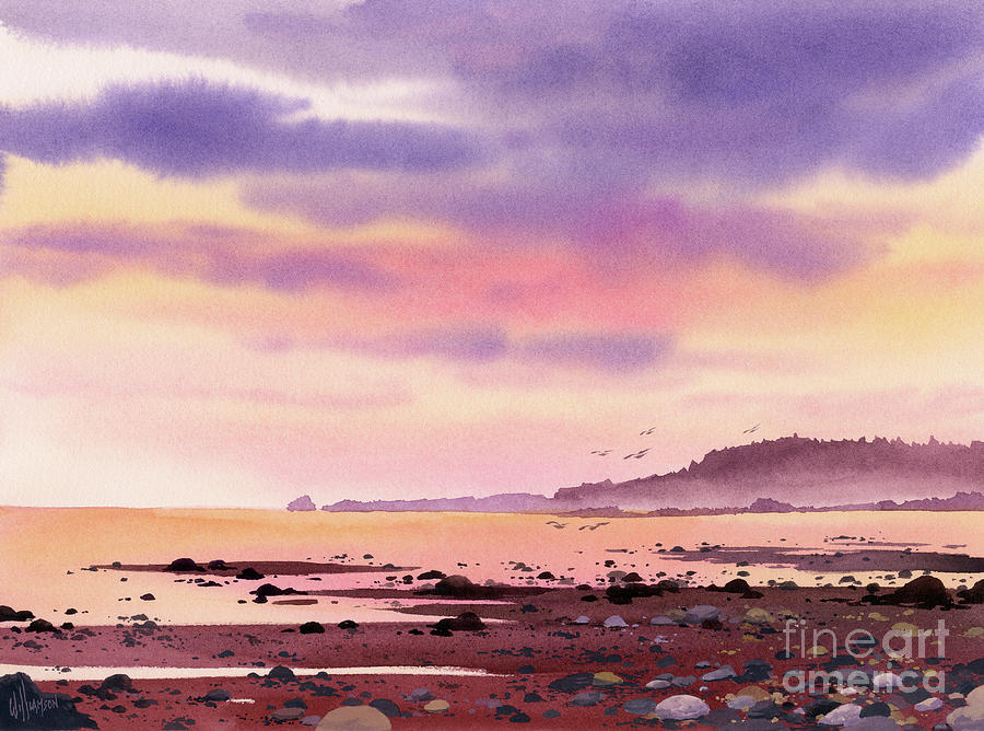 Stony Beach Sunset Painting by James Williamson