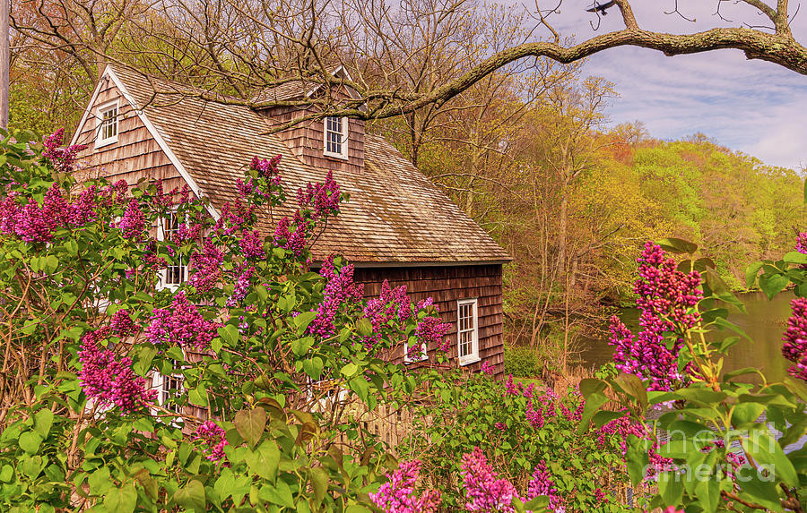 Stony Brook Gristmill in Spring Photograph by Sean Mills