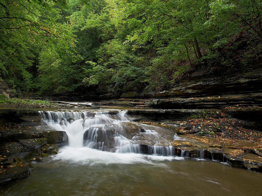 Stony Brook State Park Scene Photograph By Matthew Conheady - Fine Art ...