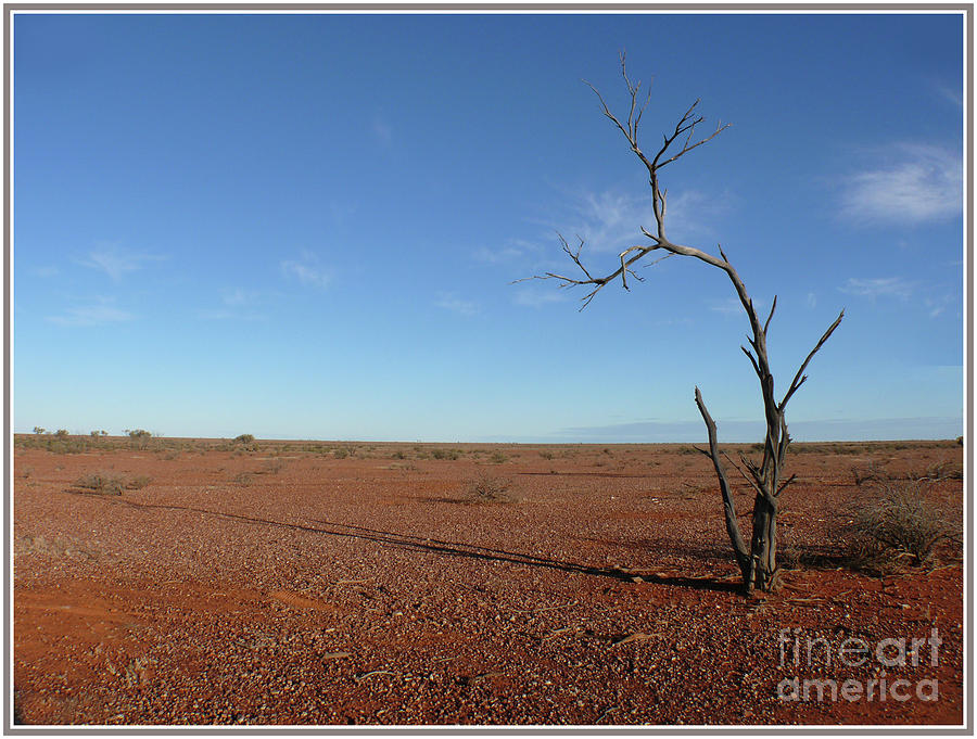 Stony Desert 2 - Australia Photograph by Klaus Jaritz