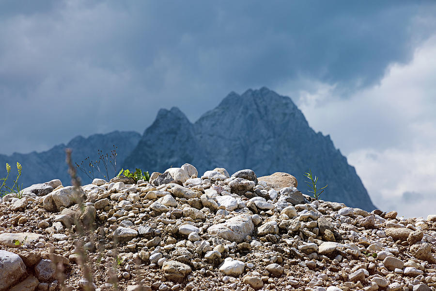 Stony hill with plants in front of a mountain range. Photograph by Bernhard Schaffer