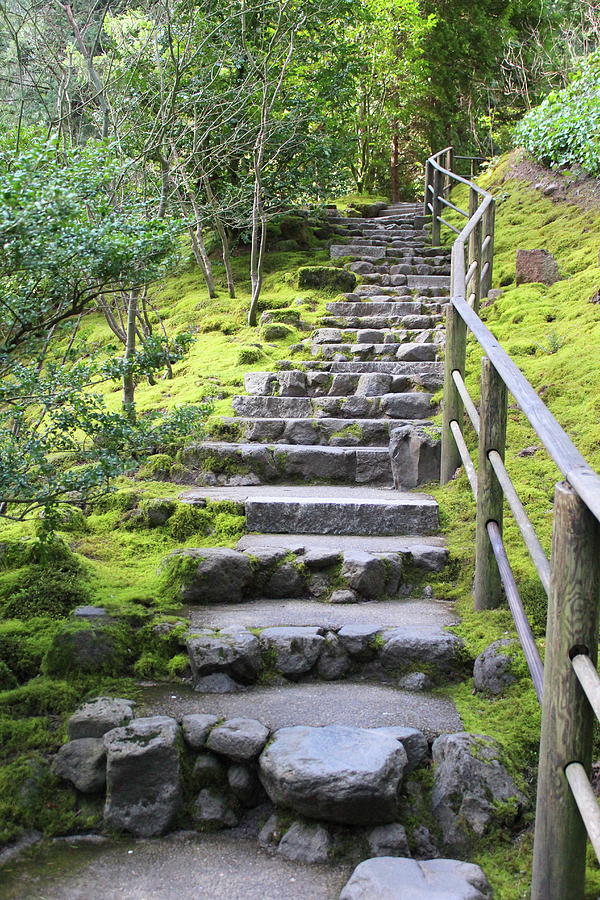 Stony Stairway Photograph by Cassandra Kraft - Fine Art America