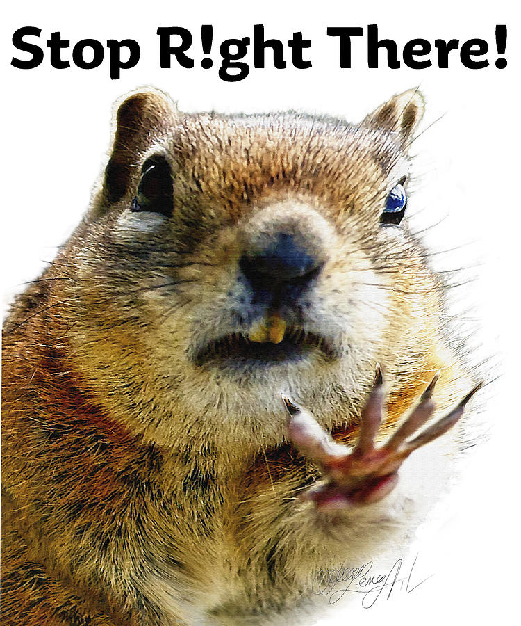 Stop Right There - Chipmunk Body Language with Typography Photograph by Lena Owens - OLena Art Vibrant Palette Knife and Graphic Design