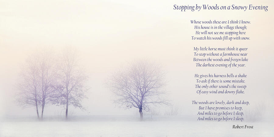 Stopping By Woods - Robert Frost Poem Photograph by James DeFazio