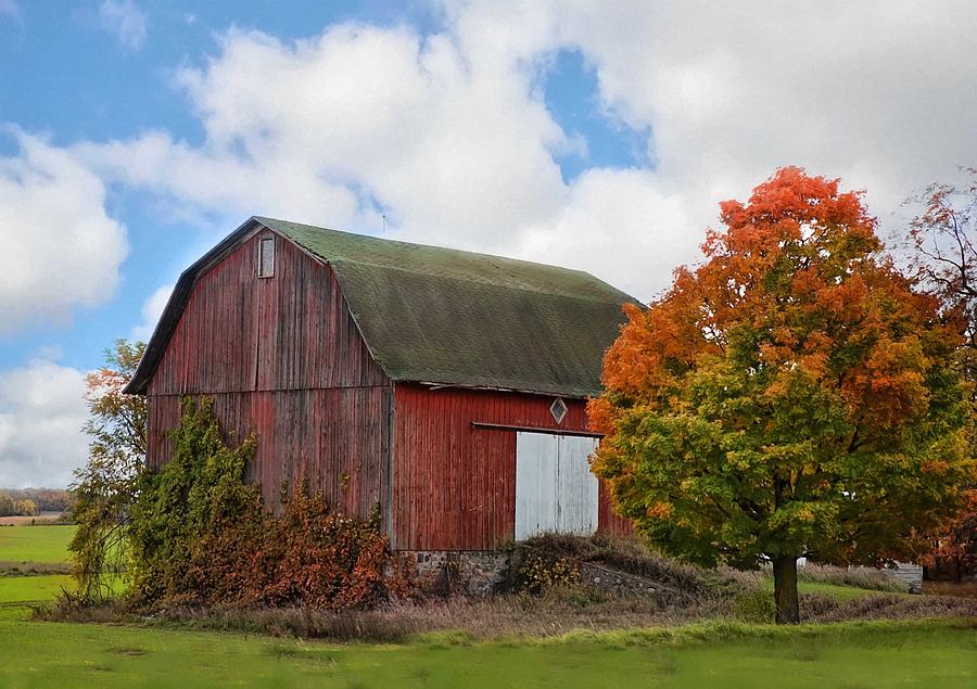 Old Red Barn In Autumn Mixed Media by Sandi OReilly