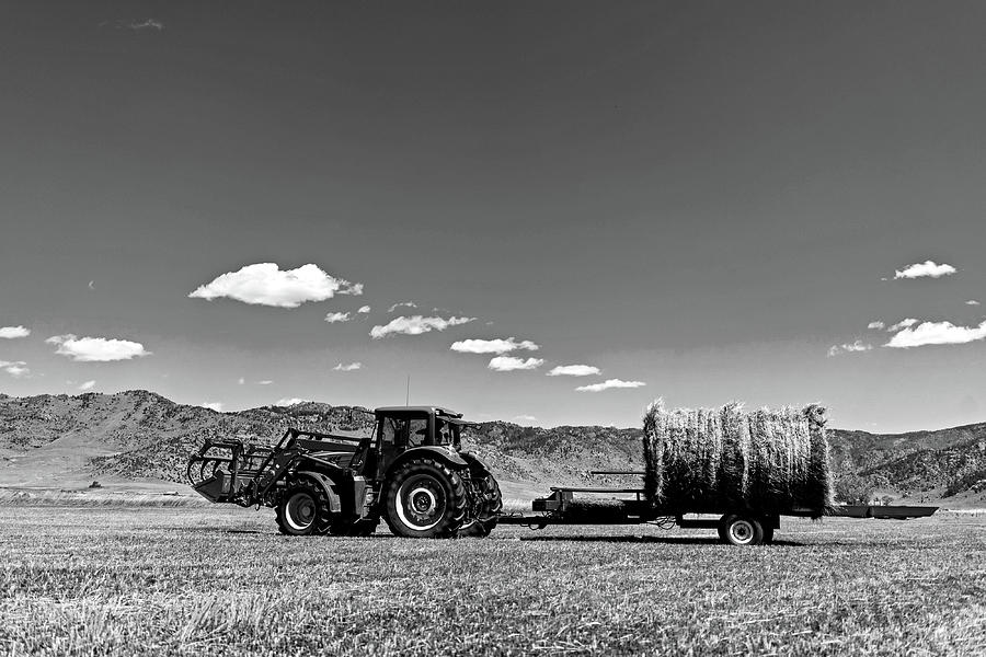 Storage of hay  Photograph by Julieta Belmont