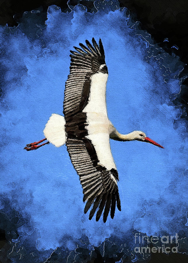 Stork bird art #stork Digital Art by Justyna Jaszke JBJart