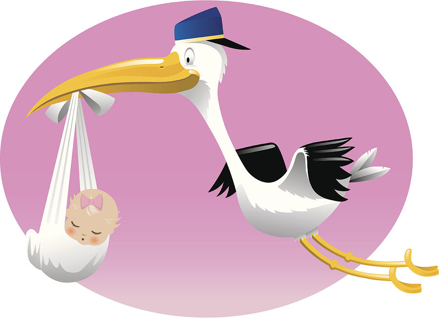 Stork Delivers Baby Girl Drawing by AnvilArtworks