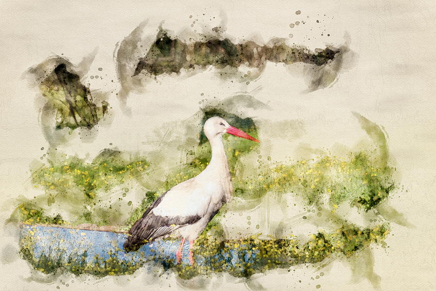 Stork in Pond Watercolor Digital Art by Luis GA - Lugamor