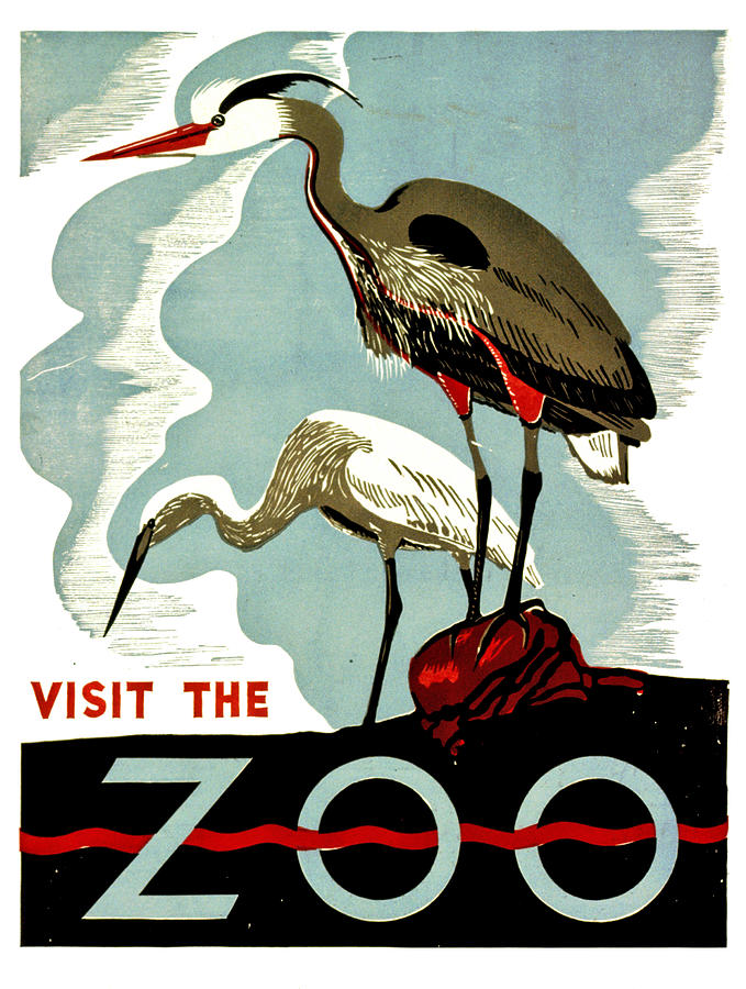Stork Digital Art - Storks by Long Shot