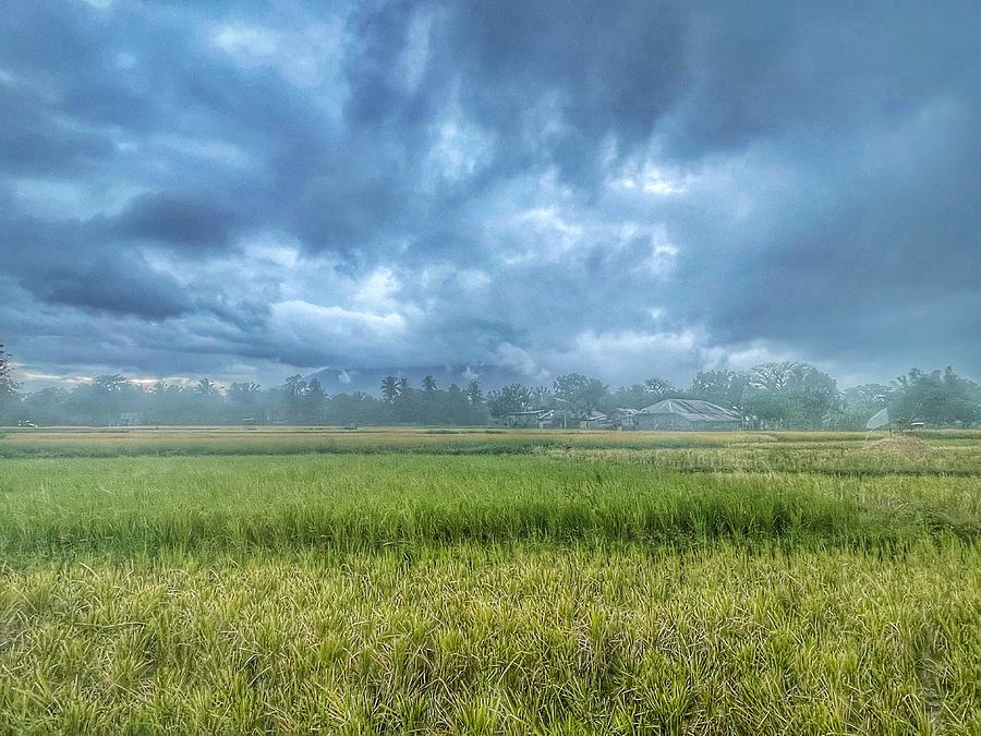 Storm across the Rice Patty Photograph by William E Rogers - Fine Art ...