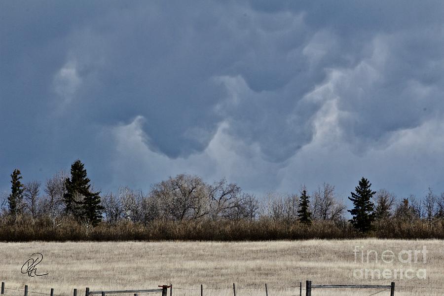 Storm Photograph by Ann E Robson