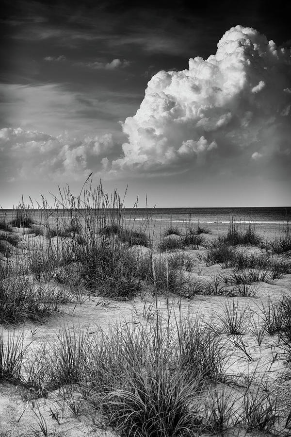 Storm Brewing, Amelia Island, Florida Photograph by Dawna Moore Photography