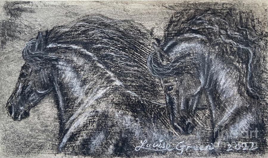 Gypsy Cob Drawing by Louise Green - Fine Art America