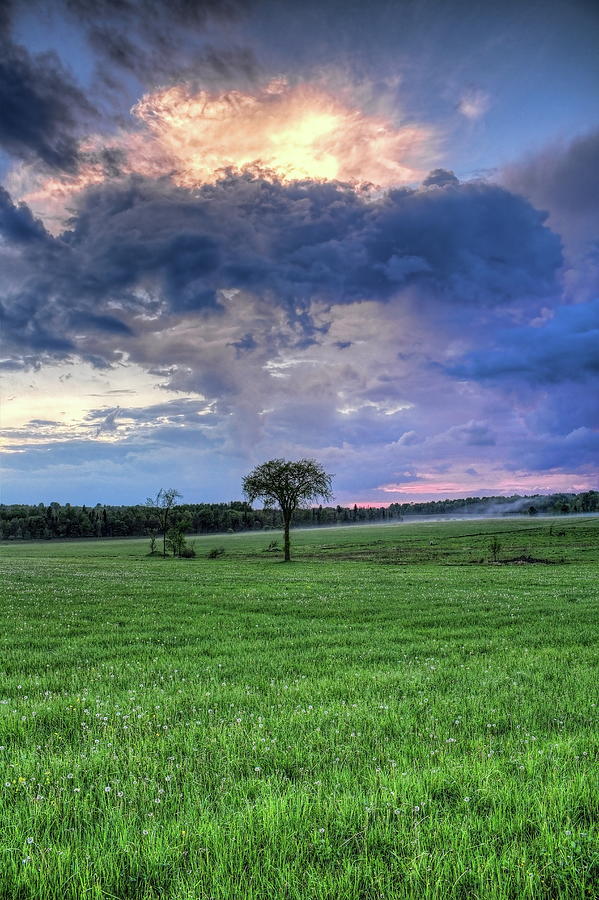 Storm Clouds Over The Elm Photograph by Dale Kauzlaric