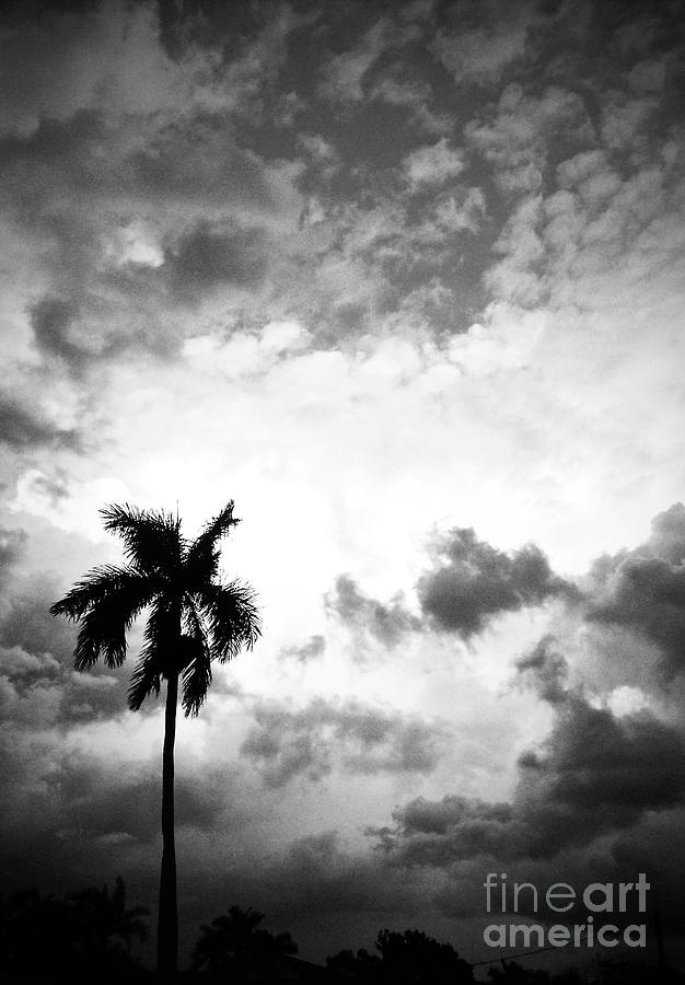 Storm Coming BW Photograph by Chris Andruskiewicz