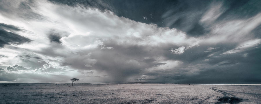 Storm coming in the Kenyan plains Photograph by Murray Rudd