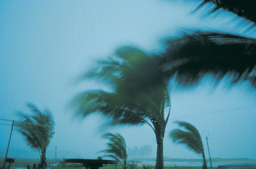 Storm damage,Phuket Island Photograph by Stockbyte