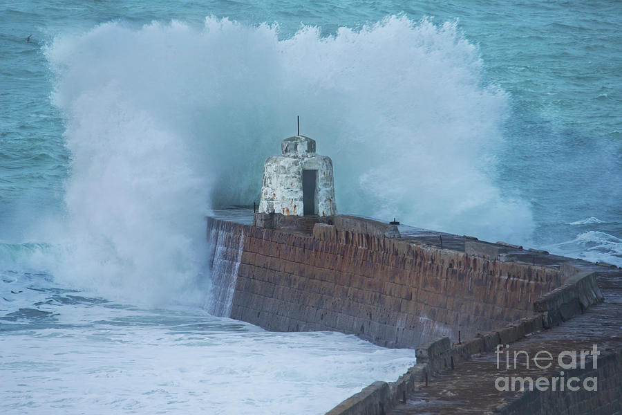 Nature Photograph - Storm Eunice Meets The Monkey Hut by Terri Waters