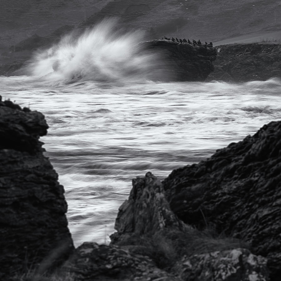 Storm Franklin versus The Cormorants BW Photograph by James Collett ...