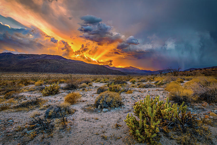 Storm Front in the Desert Photograph by Peter Tellone