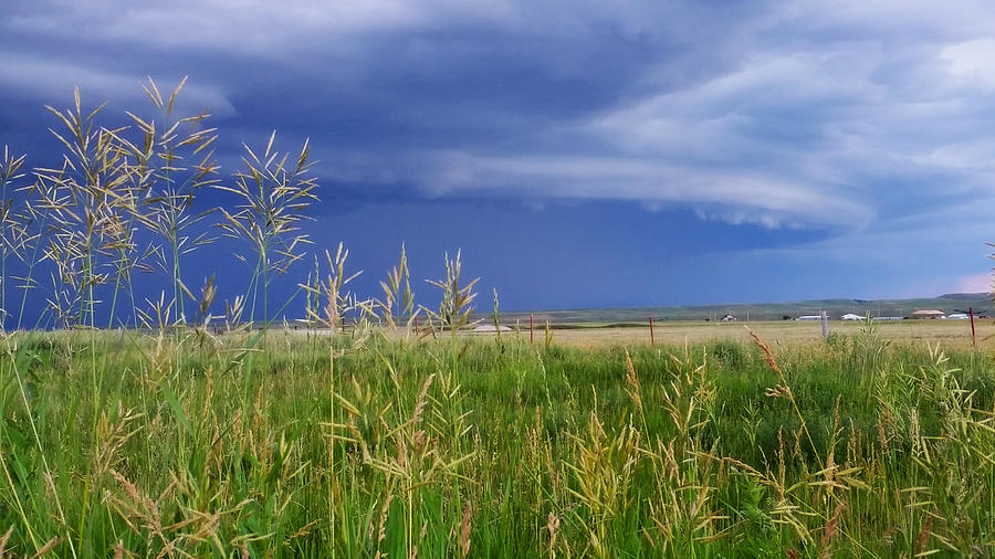 Storm near Whitewood, South Dakota  Photograph by Ally White