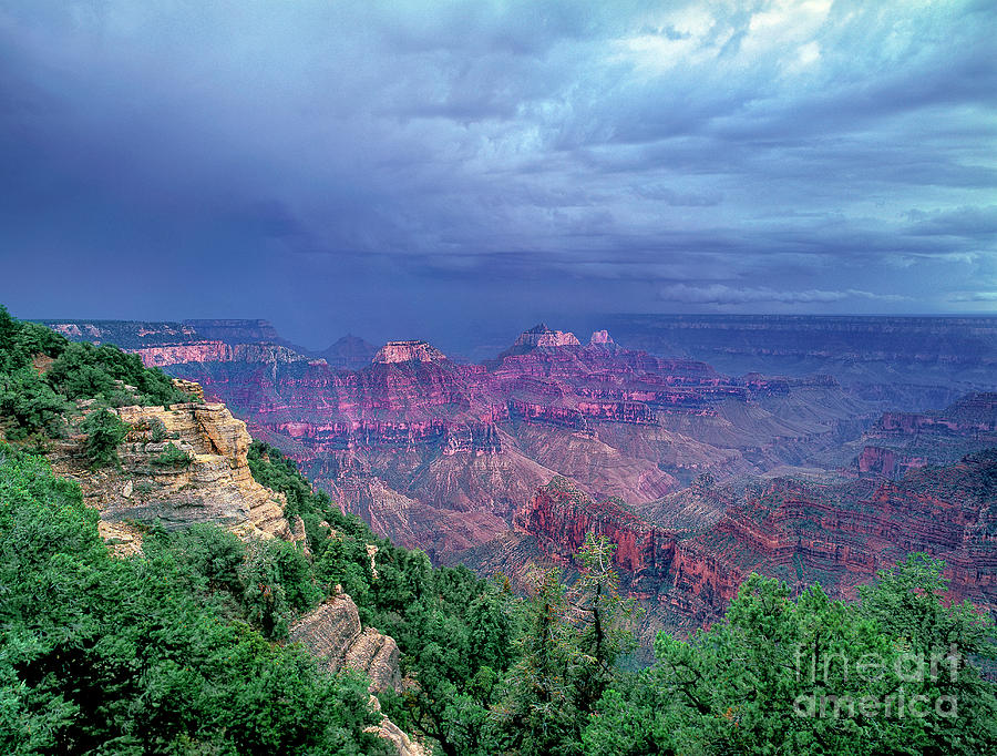 Storm North Rim Grand Canyon National Park Arizona Photograph by Dave Welling