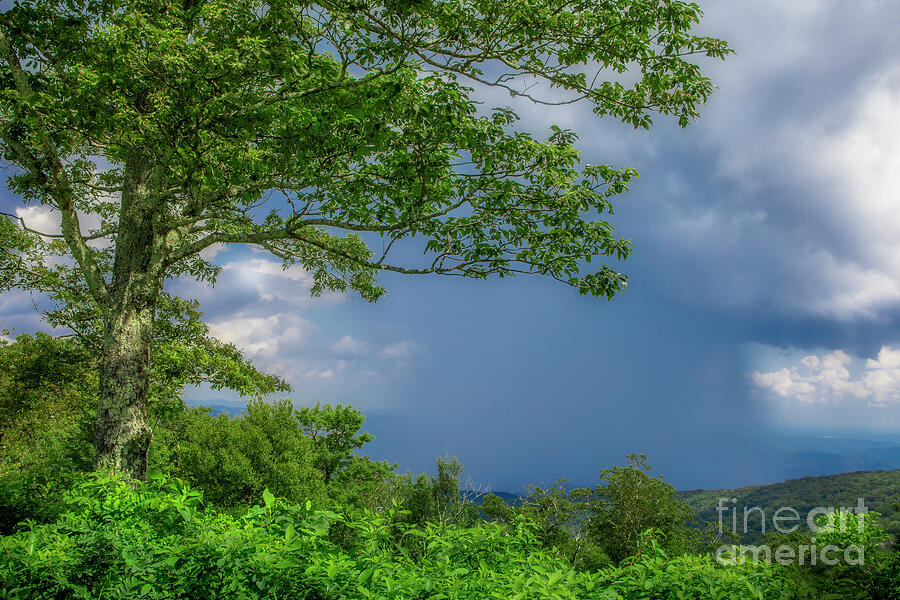 Storm on the Blue Ridge Photograph by Shelia Hunt