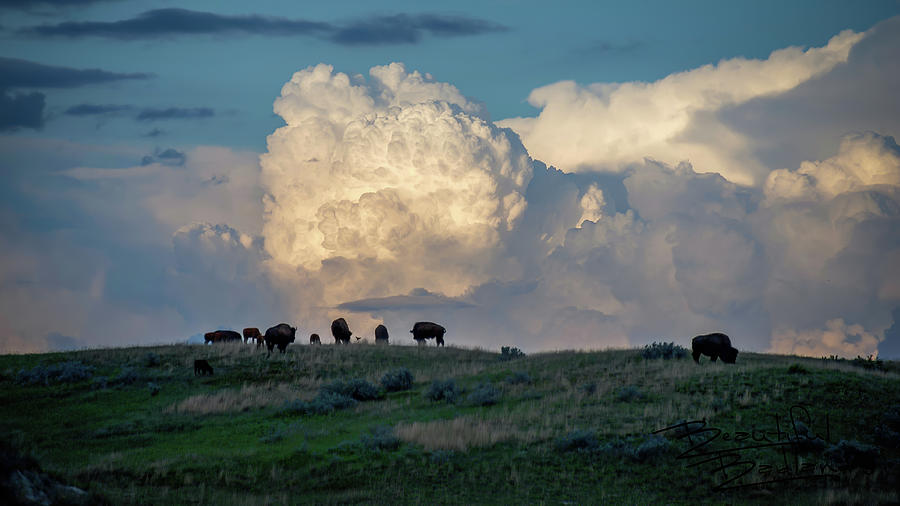 Storm on the Horizon and the Bison Graze Photograph by Mary Tastad Storm on the Horizon and the Bison Graze Photograph by Mary Tastad
