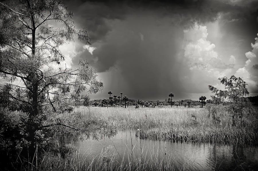 Storm over . Big Cypress -2 Photograph by Rudy Umans
