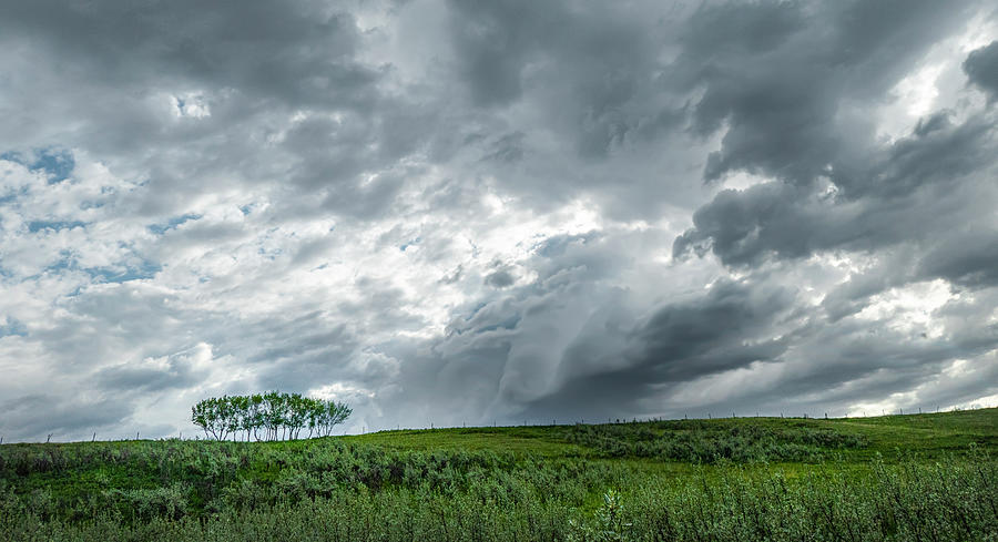 Tree Photograph - Storm Over A Green Field by Phil And Karen Rispin